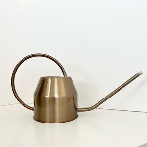 allen + roth Metal Watering Can